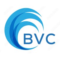 BAHADURS VENTURE CAPITALS logo - Similar company to Famous Polymers