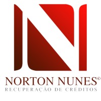 Norton Nunes logo - Similar company to Visionize Ltd (Acquired By Avg Technologies (Nyse: Avg)