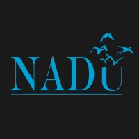 Nadu Reklam Danışmanlık logo - Similar company to Dreamy Kids