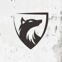 Disrupt Vista logo - Similar company to Faltec Solutions