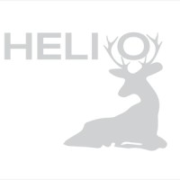 Helio Group logo - Similar company to Limited Partner