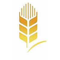Golden Spikes (Al Sanabel Al Thahabiya) logo - Similar company to Trans East Co.