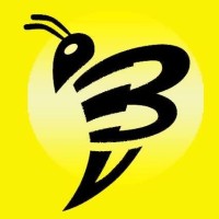 Bumblebee IT logo - Similar company to Sirius Information Services Ltd