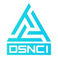 Digital Skynet Corp logo - Similar company to Softylus