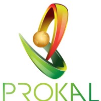 Prokal Technologies Solutions logo - Similar company to Besys Technologies Plc