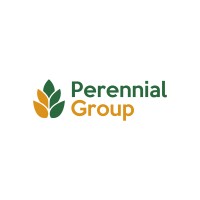 Perennial Group logo - Similar company to Sunrise Technologies, Inc.