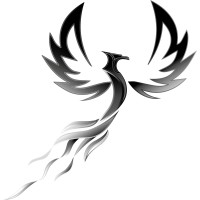 Phoenix-ITS logo - Similar company to Perfaxis