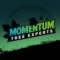Momentum Tree Experts logo - Similar company to Branch Tree Service