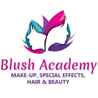 Blush Academy SA logo - Similar company to Ginger Spa