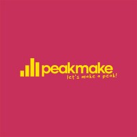 Peakmake Sp. z o.o. logo - Similar company to Advalue Poland