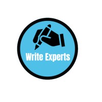 Write Experts logo - Similar company to Assignment King