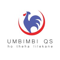 Umbimbi Quantity Surveyors (Pty) Ltd logo - Similar company to Mvt Quantity Surveyors