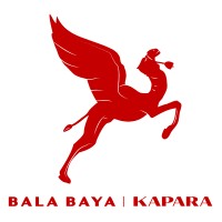 Bala Baya Group logo - Similar company to Script Assist