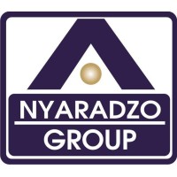 Nyaradzo Group logo - Similar company to Tyflex Investments