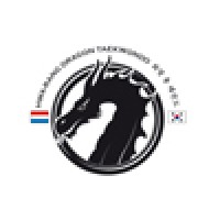 Hwa-Rang Dragon [Taekwondo - Mudo - Gracie Jiu Jitsu] logo - Similar company to The Adversaurus