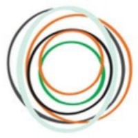 National Association of Case Management logo - Similar company to Supervised Visitation Network