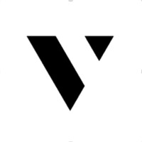 Virtu Digital logo - Similar company to The Lion Lead Digital World