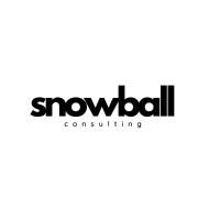 Snowball Business Development logo - Similar company to Boost Yourself