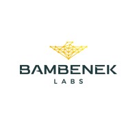 Bambenek Consulting, LTD logo - Similar company to Morgan King Fintech