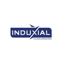 Induxial logo - Similar company to Somepic