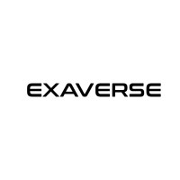 Exaverse logo - Similar company to Beyond Besties