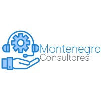 Montenegro Consultores logo - Similar company to Montenegro Robotics