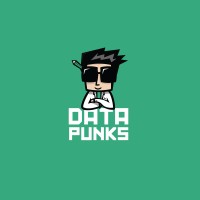 Data Punks logo - Similar company to Stem Punks