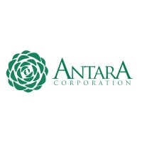 Antara Corporation logo - Similar company to Dcf Group