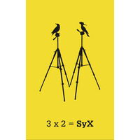 Syxestudio logo - Similar company to Libracos