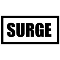 SURGE Financial Consulting logo - Similar company to Qarthage Consulting