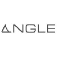 ANGLE logo - Similar company to Accelerate Design Llc