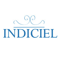 INDICIEL logo - Similar company to Ctoncap