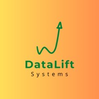 DataLift Systems logo - Similar company to Consulting Crew