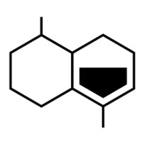 The Cure IV logo - Similar company to Quantai, Inc.