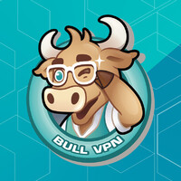 BullVPN logo - Similar company to Persec Company Limited