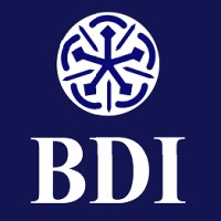 Bankers Development Institute - BDI logo - Similar company to Ai Virtual Tech