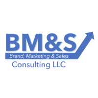 BM&S Consulting LLC logo - Similar company to Wreally