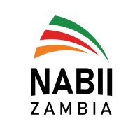 Zambian National Advisory Board for Impact Investment (NABII) logo - Similar company to Prospero