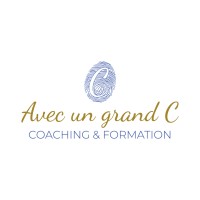 Avec un grand C logo - Similar company to Dronyx