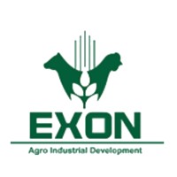 Exon Group logo - Similar company to Tgps Co