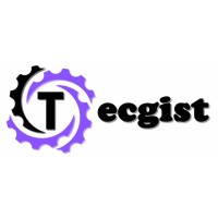 Tecgist logo - Similar company to Alte Studios