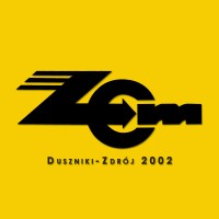 ZEM DC Motors logo - Similar company to Moligom - Technical Solutions