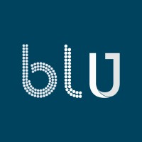 BLU Sales Group logo - Similar company to Meetz
