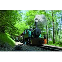 Train Forestier D’Abreschviller