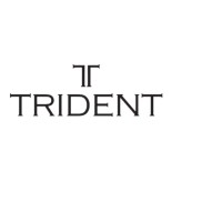 Trident Timepieces logo - Similar company to Masa Mara