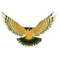 Falcon Express Cargo Airlines