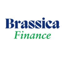 Brassica Finance logo - Similar company to Visa Centre