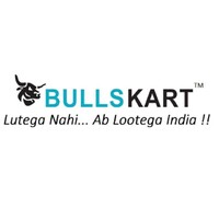 BULLSKART® logo - Similar company to Direc8