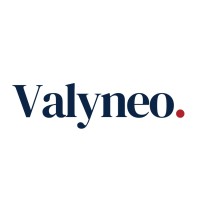 Valyneo logo - Similar company to Fynlink