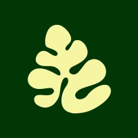 The Monstera Digital logo - Similar company to Strawburry17